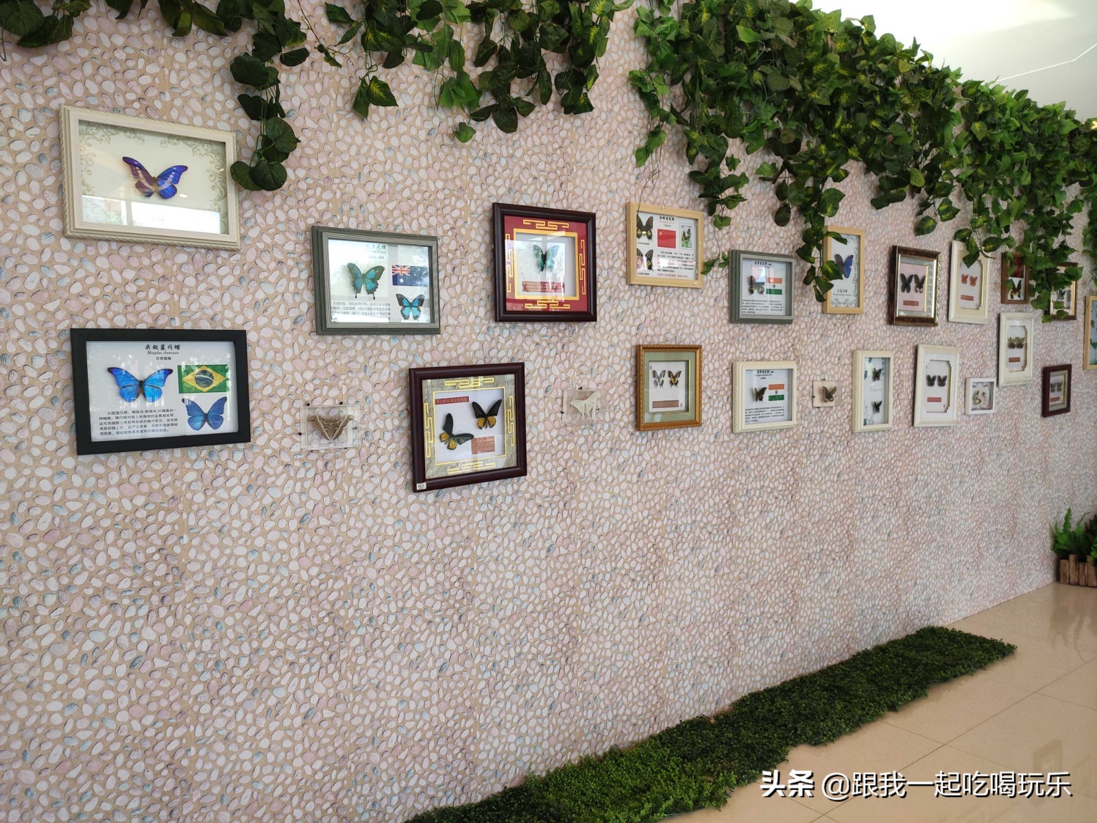 沈阳热高乐园丛林欢乐世界,沈阳丛林欢乐世界