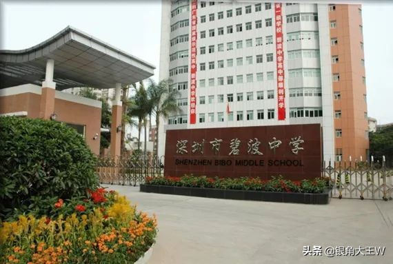 老深圳的美好时光,老深圳的回忆