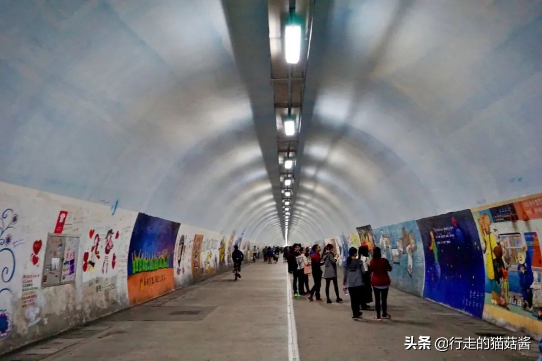 第一次去厦门必去攻略,去厦门的自由行攻略图文