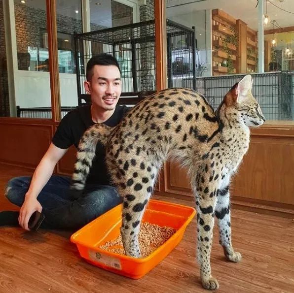 曼谷超火的ins打卡地,泰国网红的ins