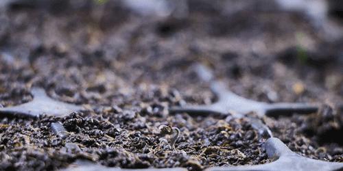 番茄锅酸甜番茄,超浓郁的番茄火锅吃一次就爱上了