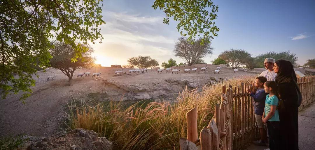 阿布扎比7天迪拜万豪5星酒店,阿布扎比度假攻略