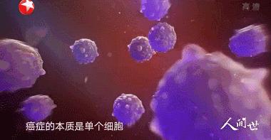 33岁北大女博士癌症临终感言,人间世女博士抗癌之路