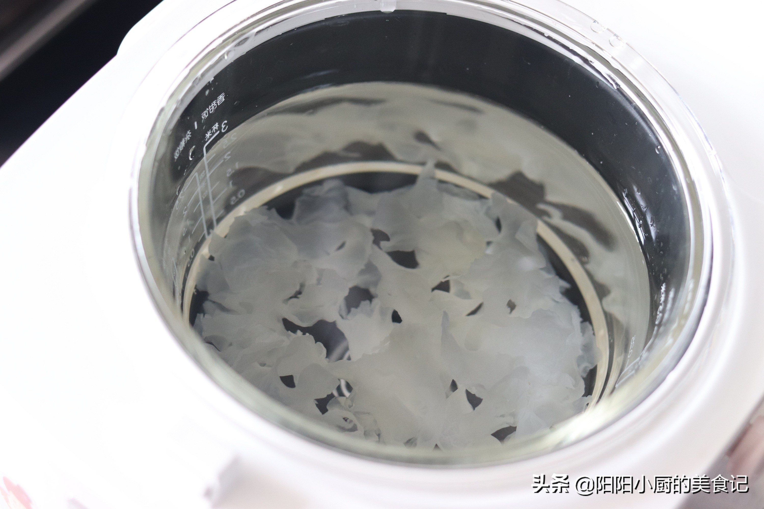 雪燕燕窝提取,雪燕是燕窝的平价代替品