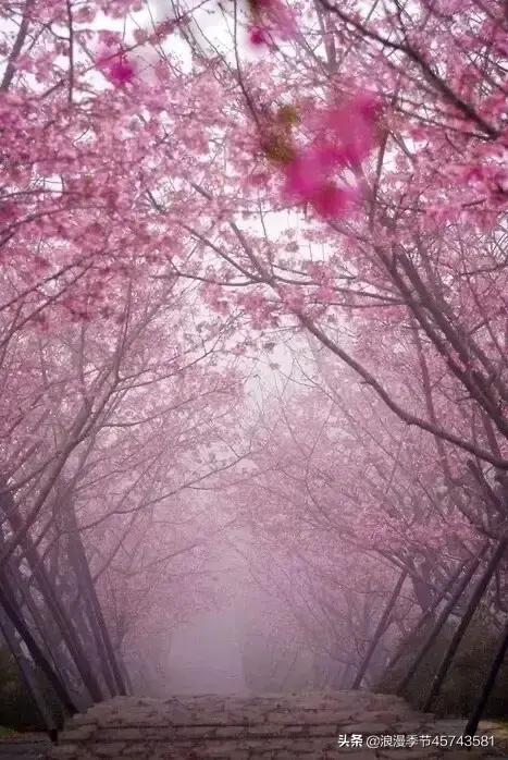 鏁ｆ枃鍐ぉ鐨勯,鏆栨殩鐨勯鏁ｆ枃