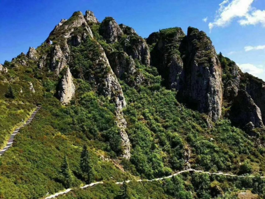 莲花山上莲花寺,莲花山普宁山顶