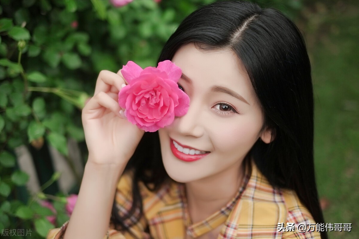 玫瑰的世界剧照,玫瑰的世界钢琴版