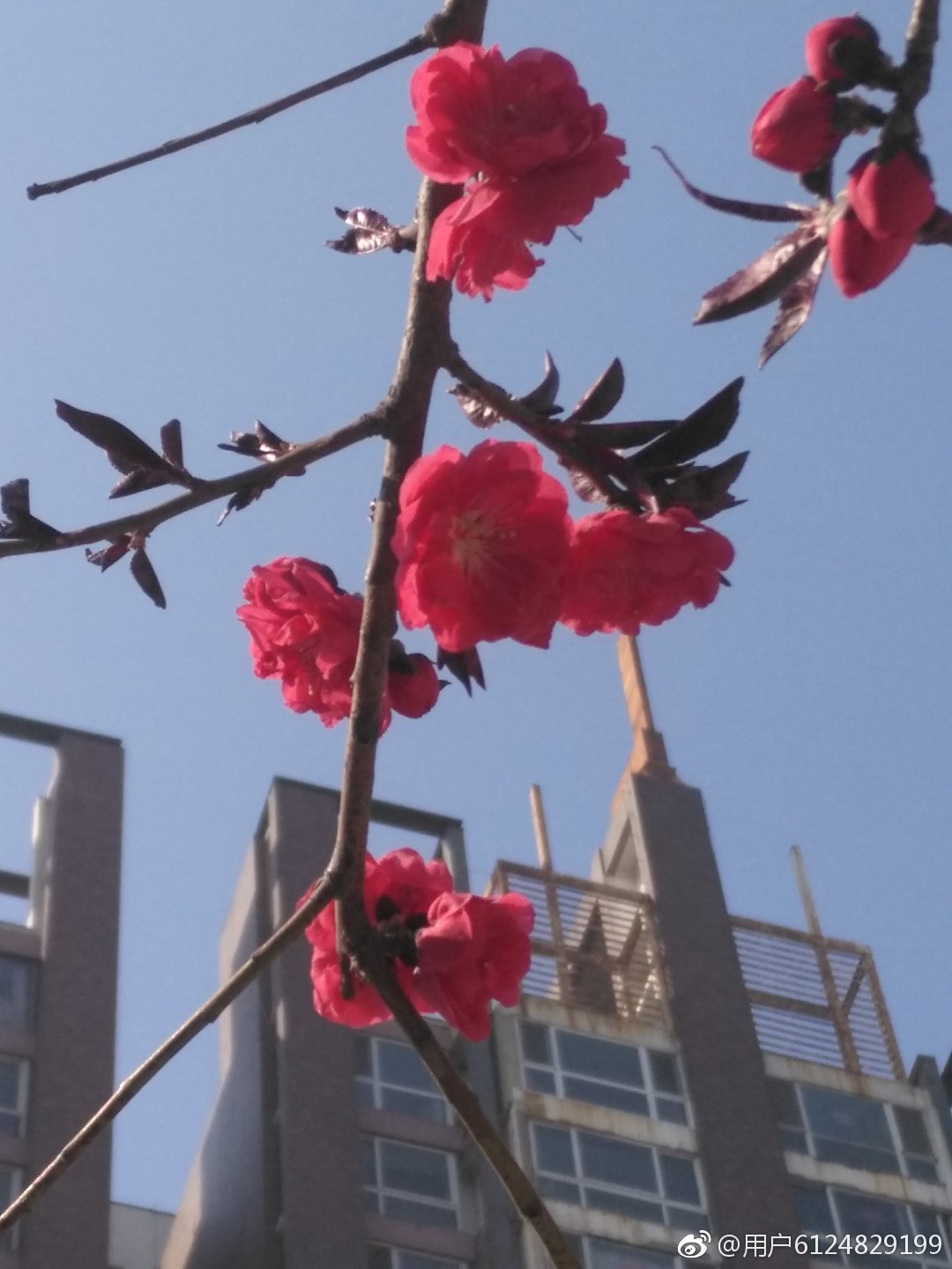 神奇的汉字（读音相同，含义相通82）