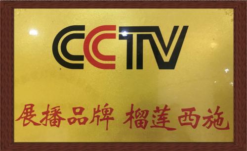 榴莲西施食品,榴莲西施冷冻榴莲果肉多少钱