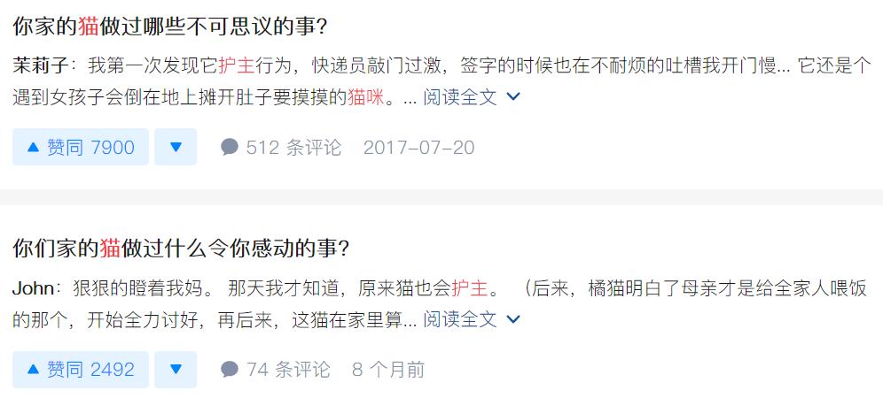 大学生杀死流浪猫,大学生杀流浪猫