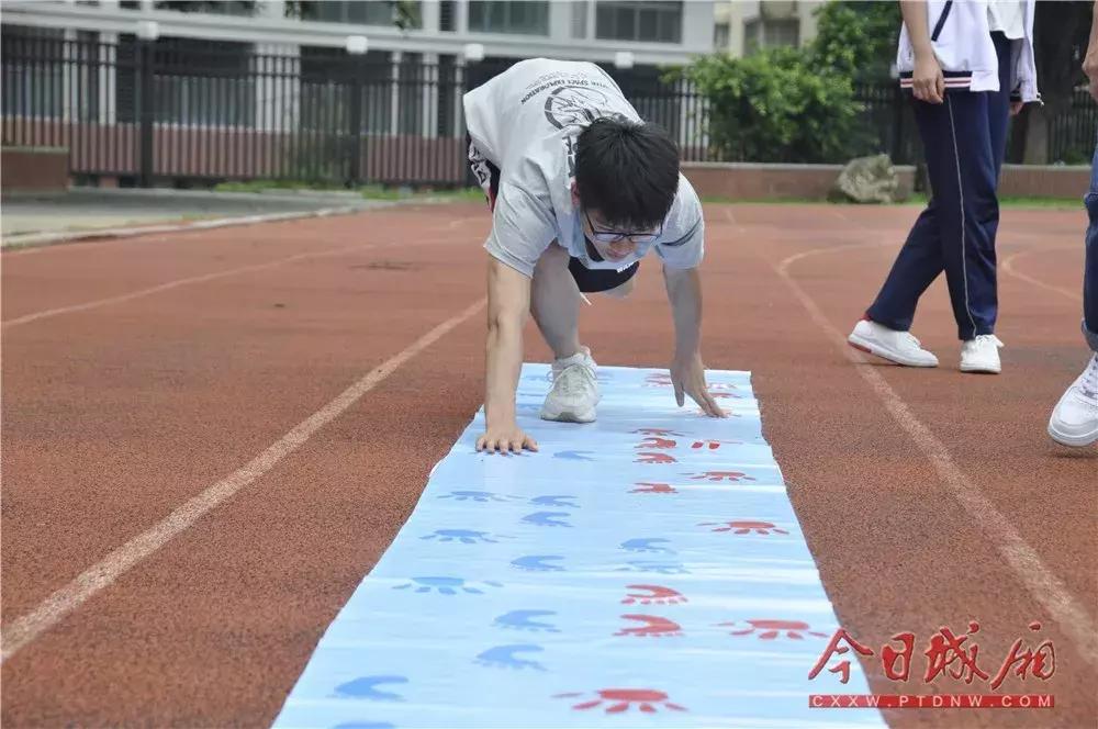 文体教育活动,文体教育系列活动