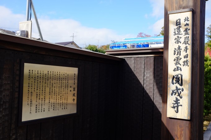 京都赏枫2022,京都赏枫必去景点有哪些好玩的