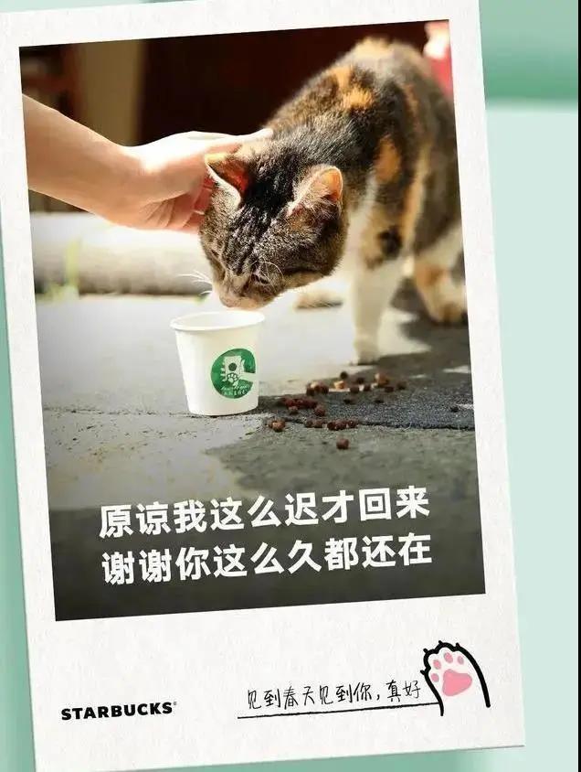 餐饮复工怎么才能让顾客放心就餐,餐饮复工对顾客的问候