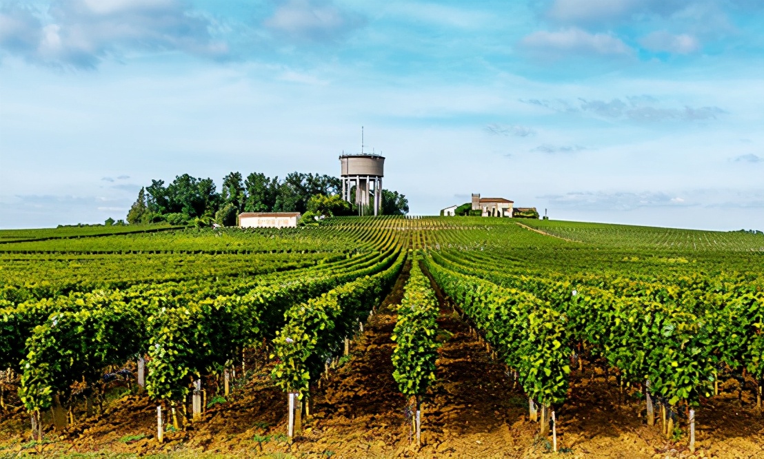 舌尖上的乡愁红酒,5个步骤教你正确品尝一款红酒