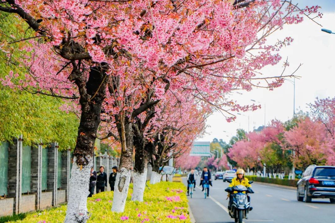 昆明最火网红打卡景点免费的,昆明最近的值得打卡的景点