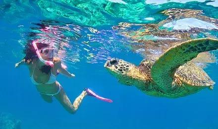 拿着护照能直接去的免签国家,必游的十大海岛