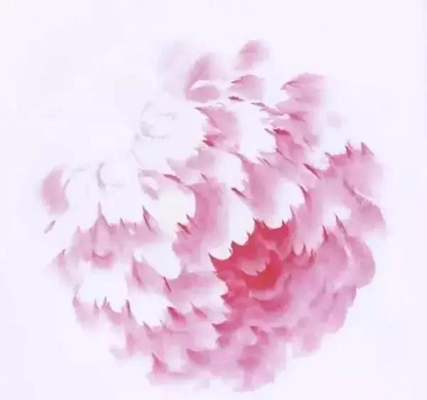 牡丹九大色系,九种牡丹调色法