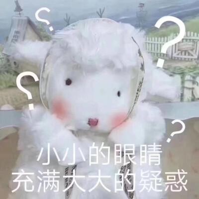 韩国日本法国护肤品哪个最好,日本韩国欧美护肤品怎么选