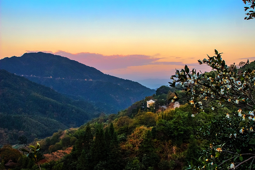 婺源篁岭梯田花海,婺源篁岭欢乐颂