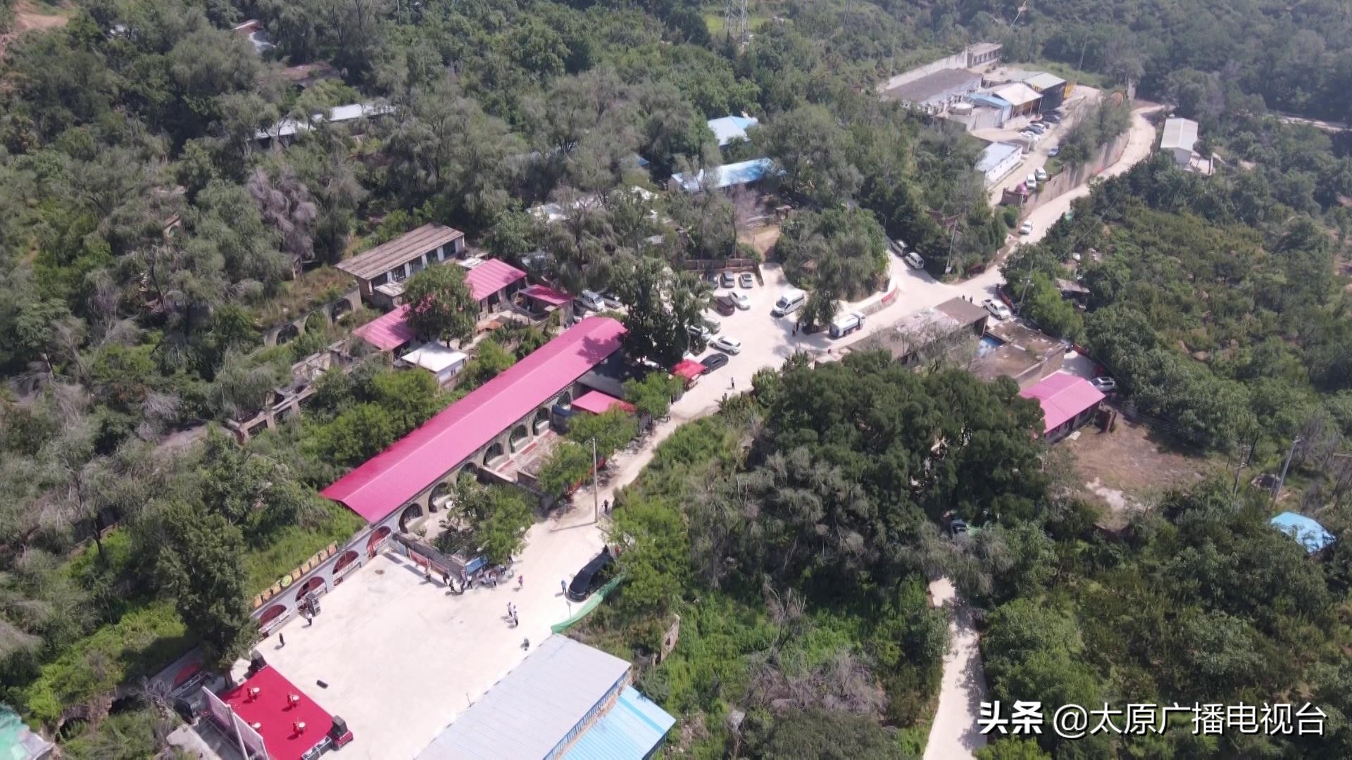 乡村振兴！太原要子庄村“绿”土地长出“金娃娃”