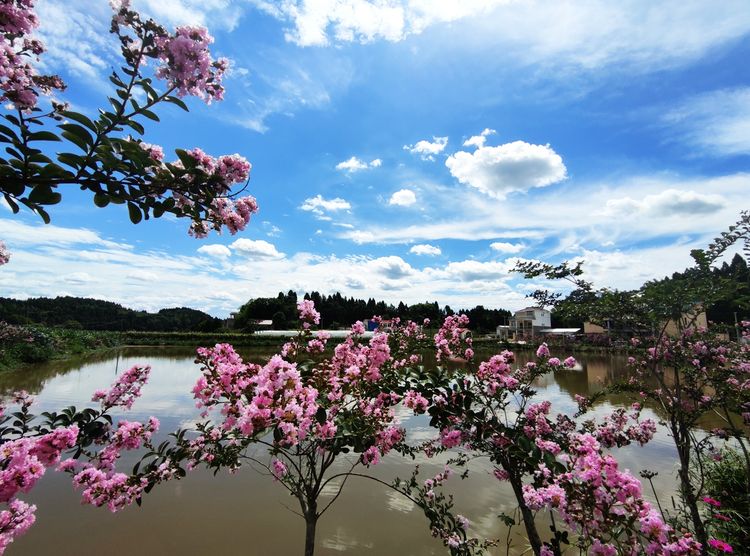 涔愯嚦鑽疯姳鎽勫奖浣滃搧娆ｈ祻,涔愯嚦鍗拌薄鎽勫奖