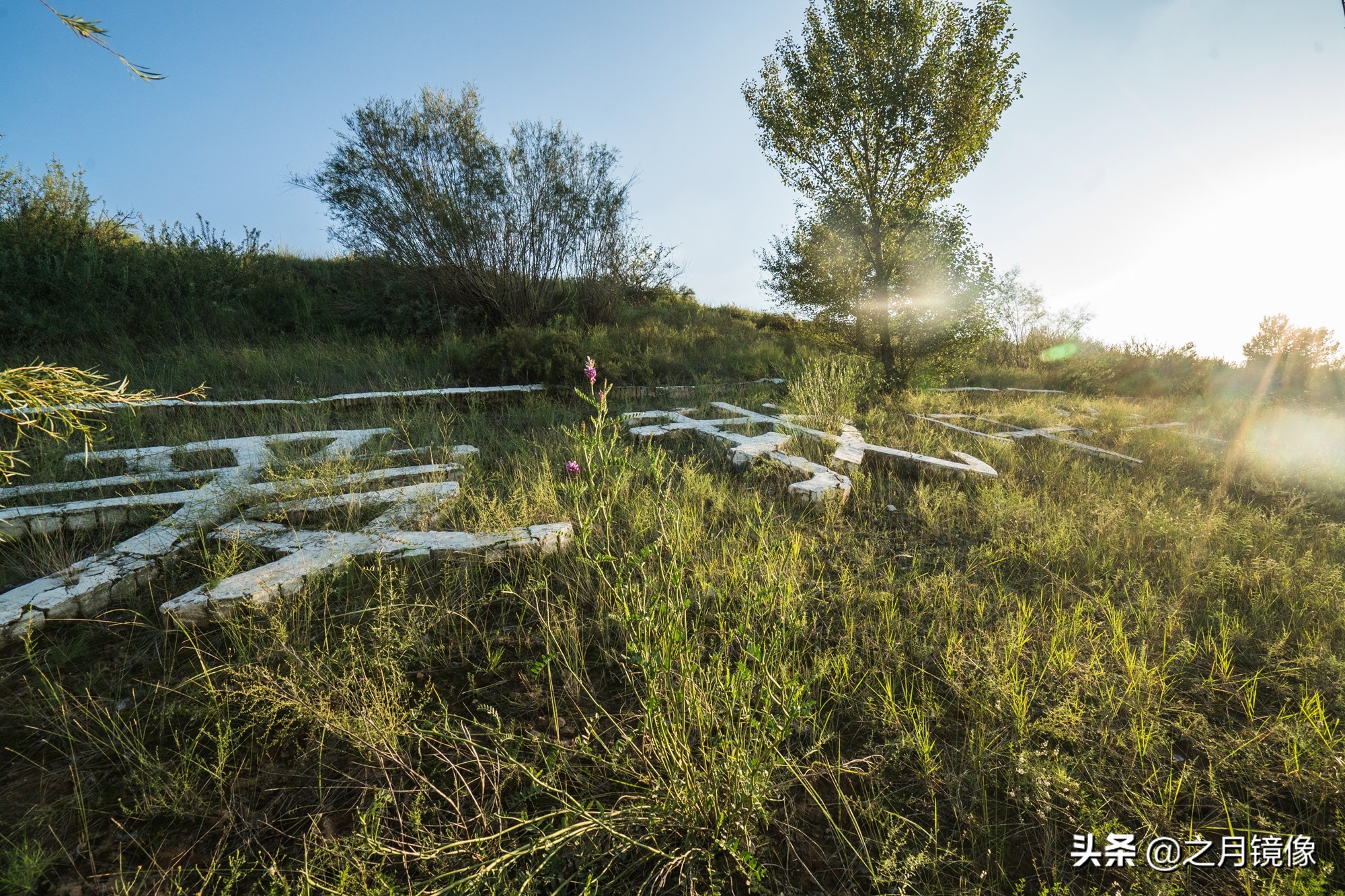 闈栬竟澶ф紶,闈栬竟澶ф紶椋庡厜