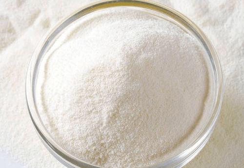 养宠经验狗狗吐完不吃饭怎么办,养宠经验猫一天不尿会出现问题吗