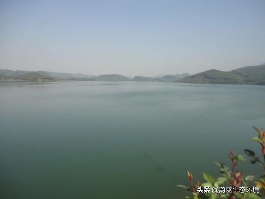 深圳最好的公园东湖公园,深圳东湖公园有哪些风景区