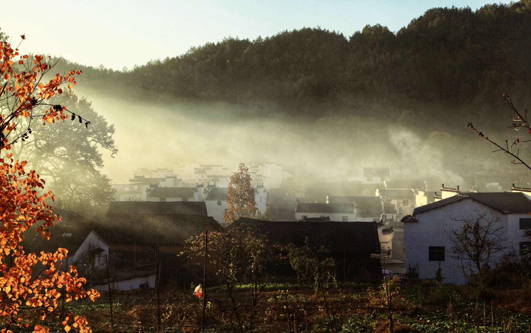 江西成了网红打卡点,江西婺源的古老村落真的太好拍了
