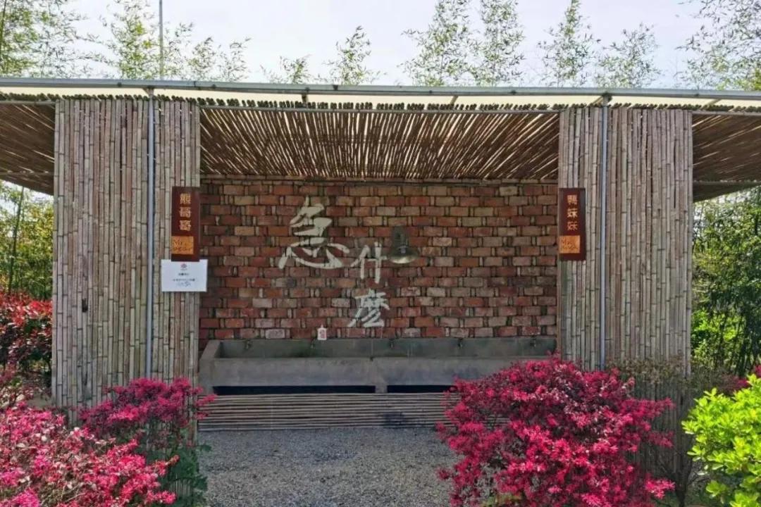 用低成本打造高颜值农场,广东夫妇超省钱