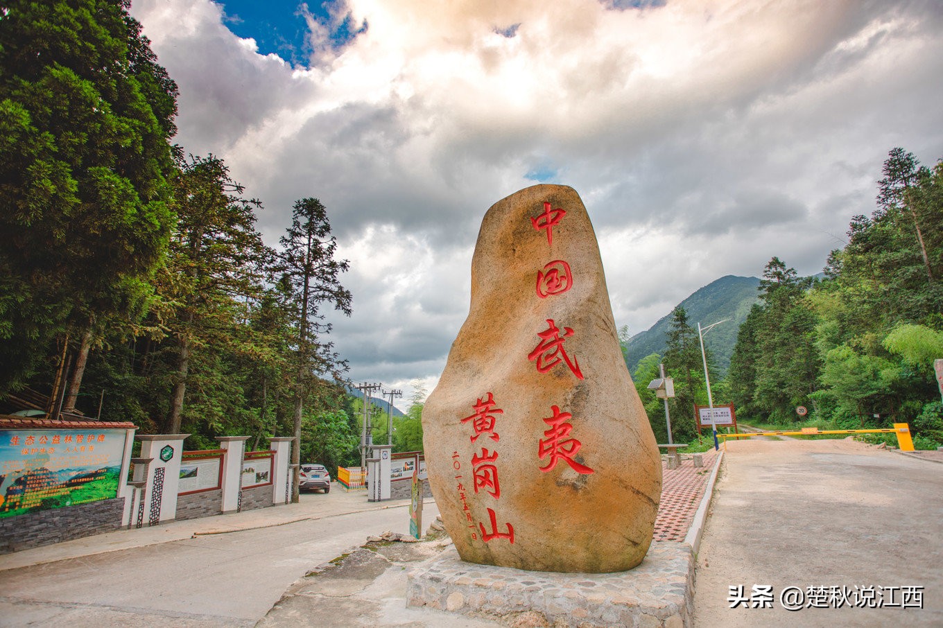 江西武陵红茶,江西最好的红茶