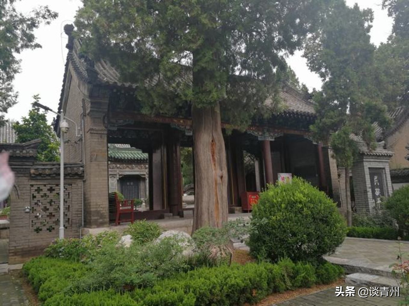 青州古城一日游视频,青州古城夜晚一日游