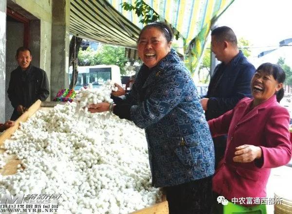 四川乡村振兴有哪些镇,绵阳乡村振兴重点县有哪些
