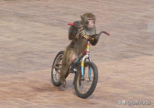 二冲程发动机原理结构图,二冲程发动机工作原理示意图