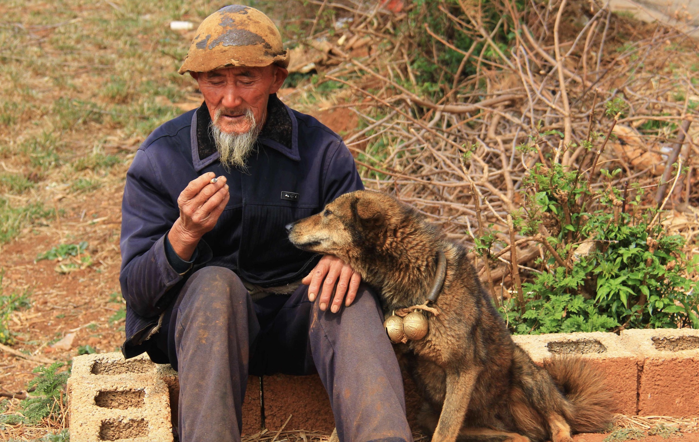 53岁丁克晚年的真实感受,73岁丁克老人现状