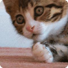 千万不要在日本做保姆,千万不要在日本海边游泳