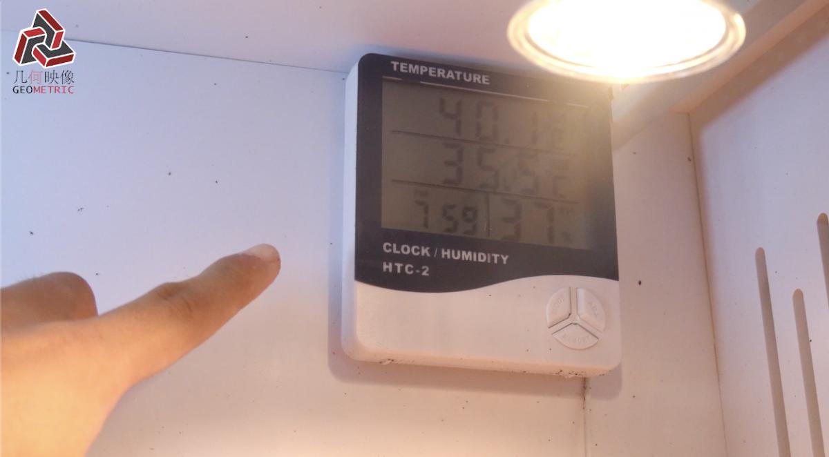 香港养宠物流程,香港养宠物攻略