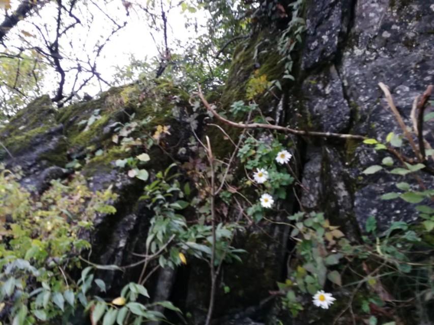 天门山一个人旅游,天门山的特别之处