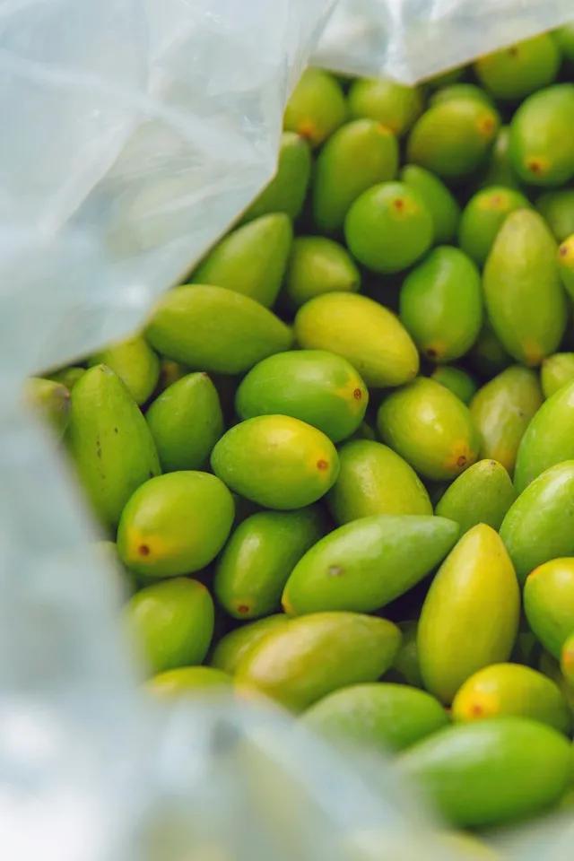 潮汕人从小吃到大的油柑,潮汕特有油柑