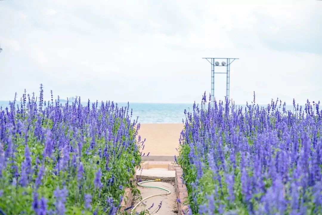 深圳10大旅游好去处,深圳盐田区周末休闲浪漫好去处