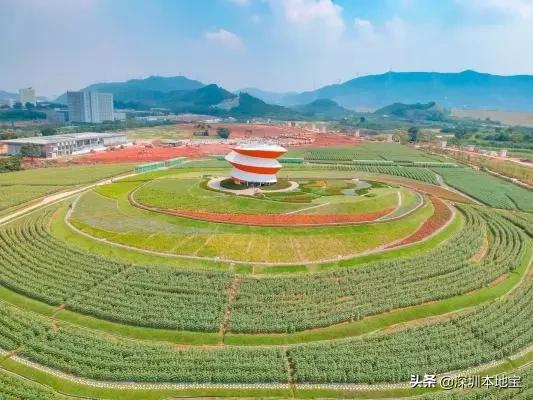 深圳完全免费的十大景点,深圳10大免费景点上集