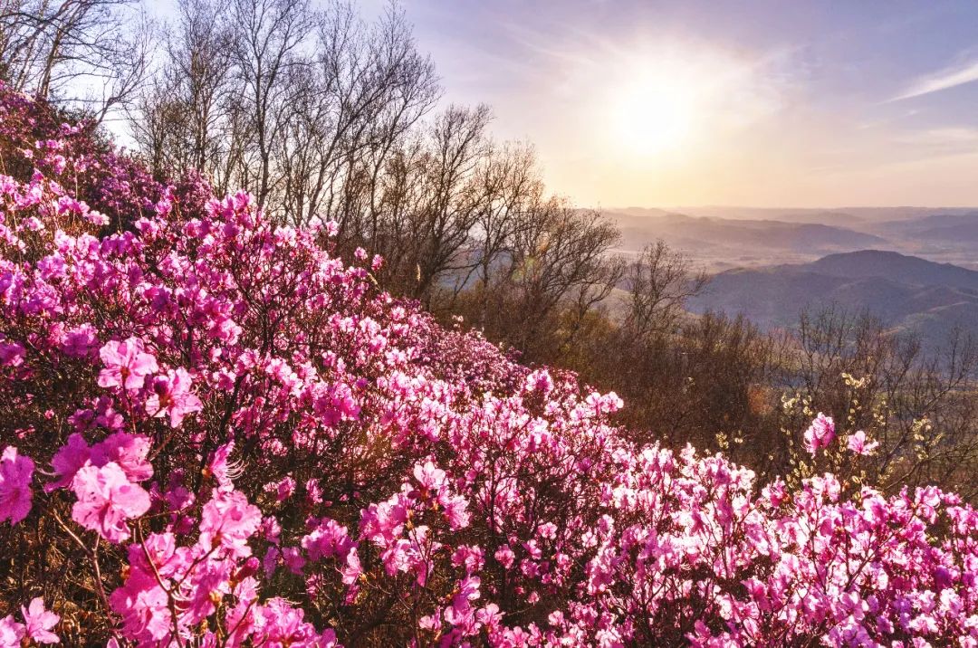 内蒙古通辽扎鲁特旗5条自驾游线路和景点攻略