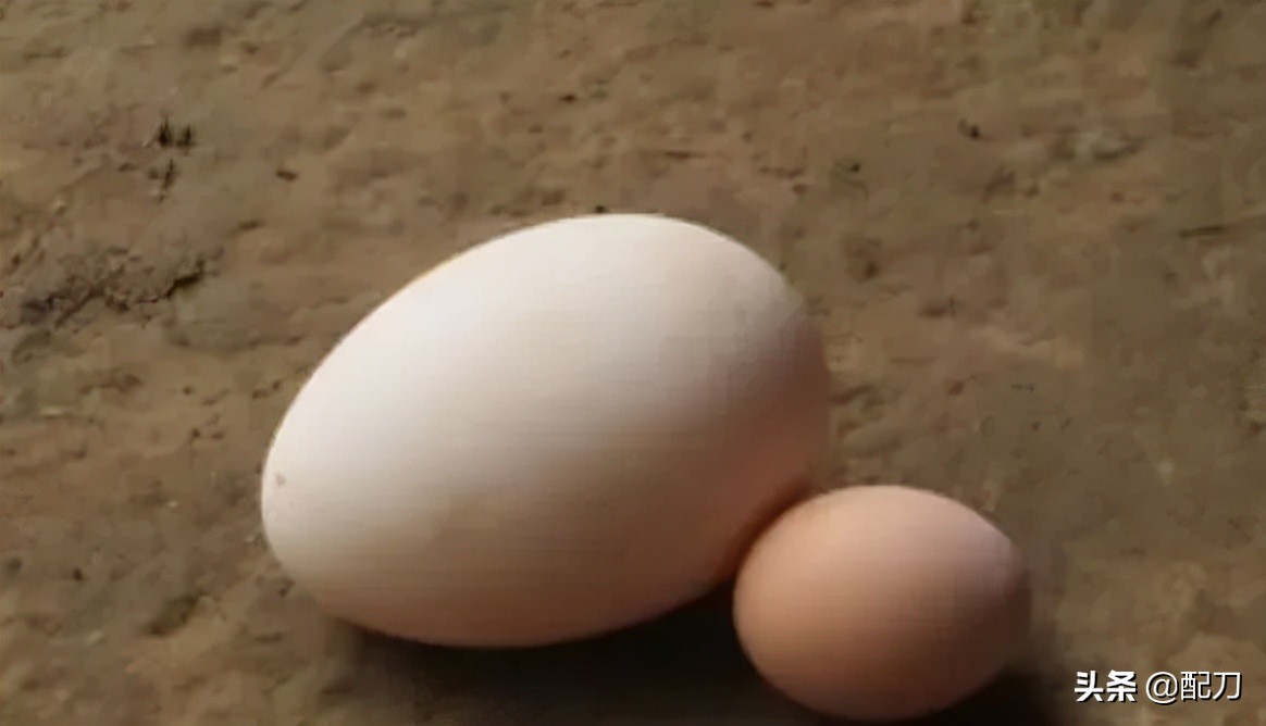 旧城往事呼和浩特,呼市旧城往事完整版