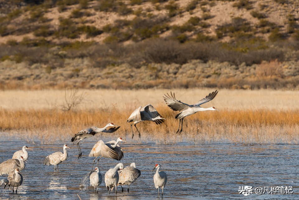 选择曝光快捷键,选择曝光