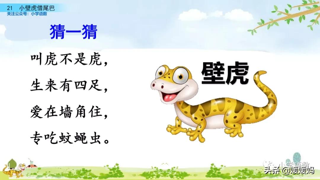 一年级小壁虎借尾巴原文图片,小壁虎借尾巴优质课一等奖