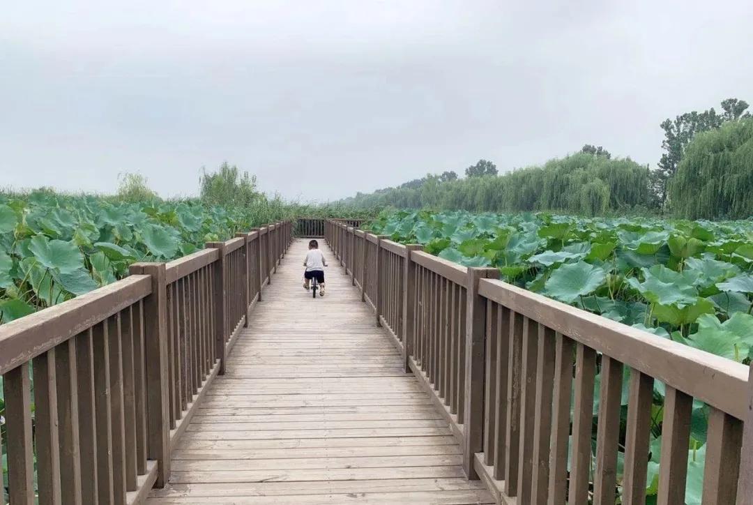 淄博慢城旅游攻略,淄博慢城