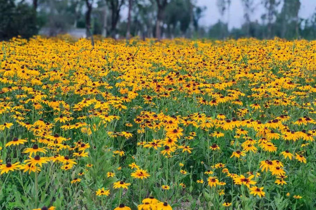 在济南花式避暑,一见“清”心!只需一瞥,便足以把酷夏原谅…