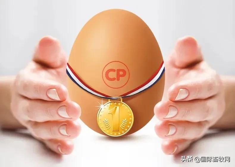 嘉吉无骨鸡块,正大无抗生鲜鸡