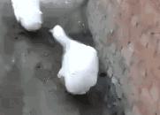 b站蝉蝉,b站的早划算活动在哪里