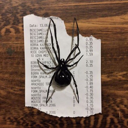 小票我有了，请问手哪里有卖？